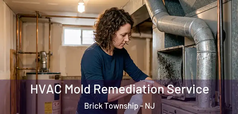  HVAC Mold Remediation Service Brick Township - NJ