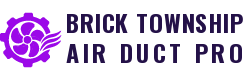 Brick Township Air Duct Pro Logo